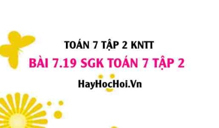Bài 7.19 SGK Toán 7 tập 2 Kết nối tri thức